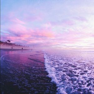 Meet your Posher, Nora